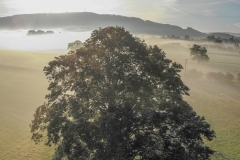 created by dji camera