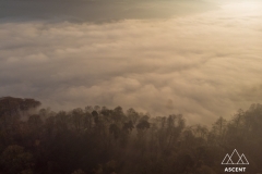 DJI_0806-HDR